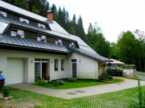 Penzion U Kocoura